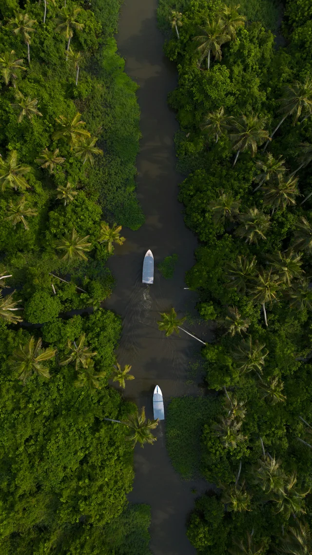 Calm Kerala backwater stay